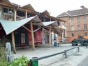 Help Metelkova!