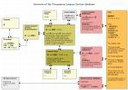 Operativo il database delle organizzazioni