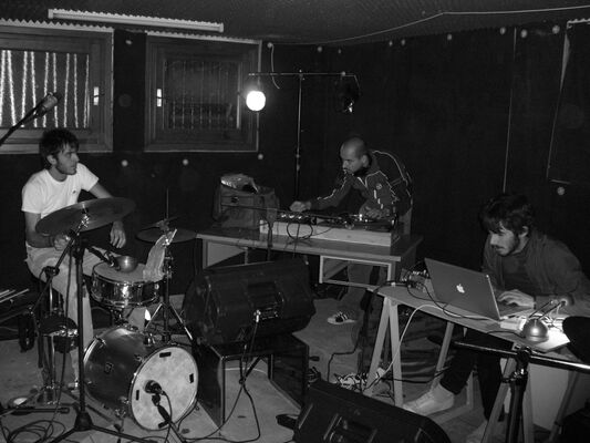juglandacee-settembre-2007.jpg