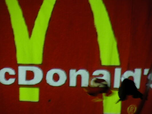 dscn0014.jpg