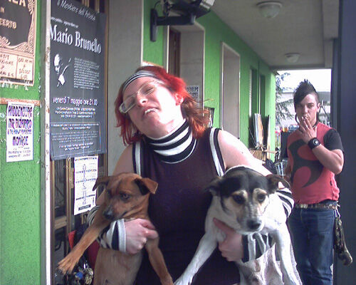 dog-sitter.jpg