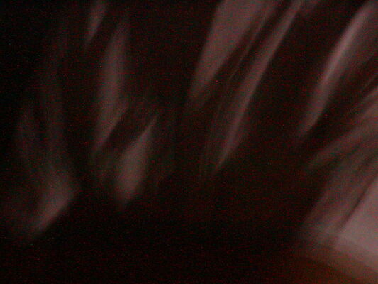 p8010034.jpg