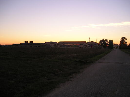 p1010003.jpg