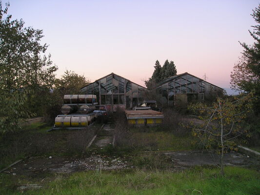 p1010021.jpg