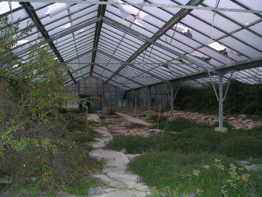 p1010022.jpg
