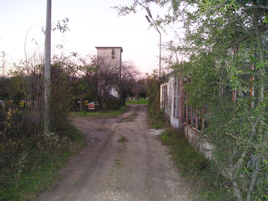 p1010023.jpg