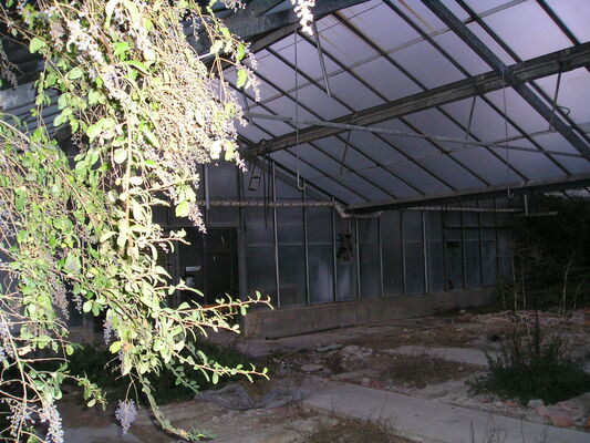 p1010024.jpg