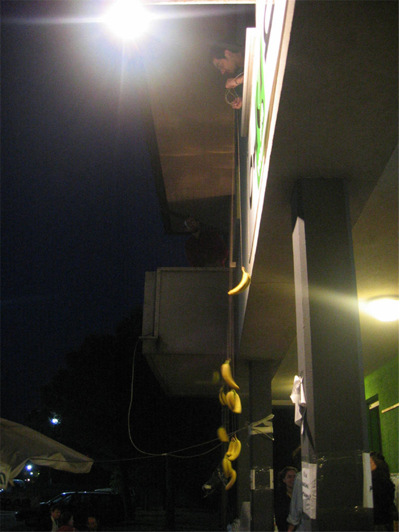 buena_during_banana_lowering_bananas.jpg