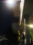 buena_during_banana_lowering_bananas.jpg